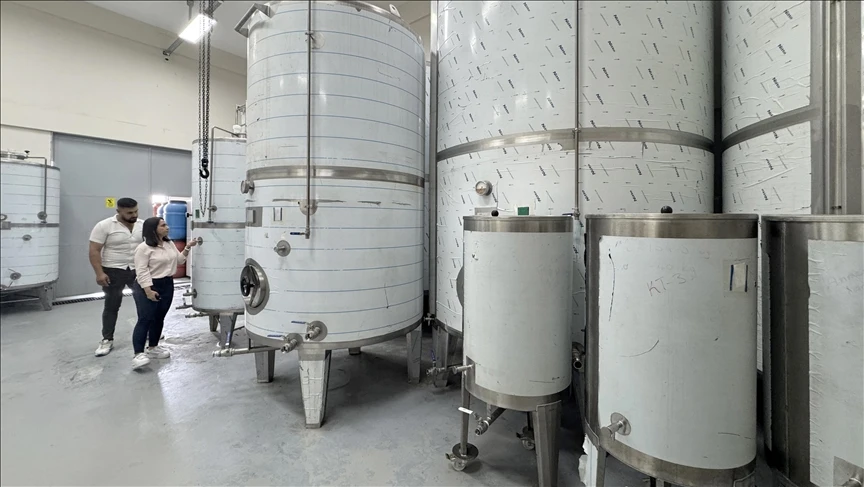 Kadın Mühendis Devlet Desteğiyle Zeytinyağı Fabrikası Kurdu