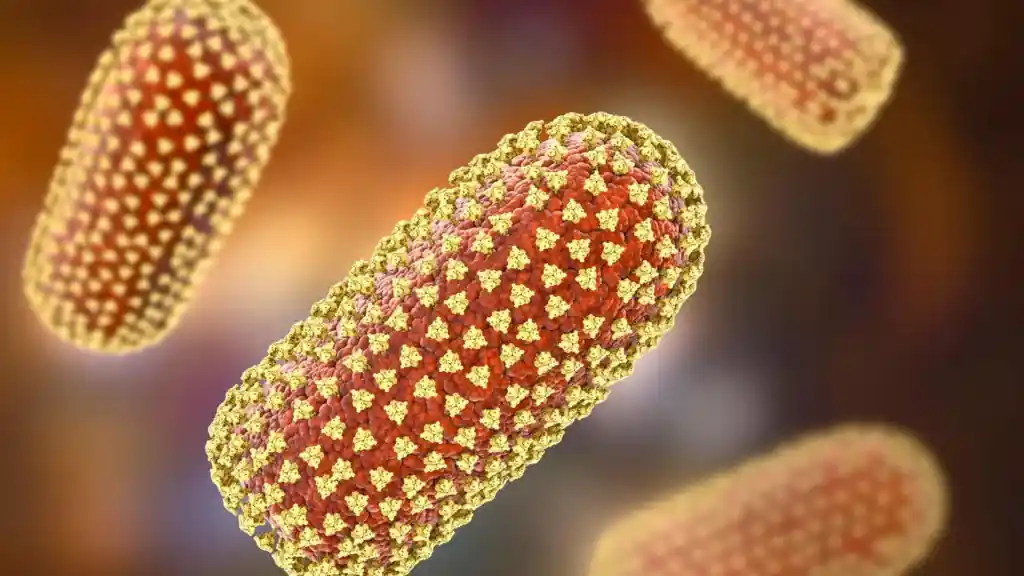 Köpeği Severken Tırmalama Sonucu Hayatını Kaybetti