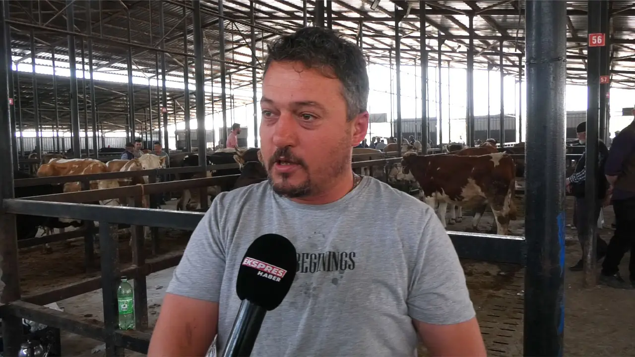 Kütahya Canlı Hayvan Pazarında Son Durum2