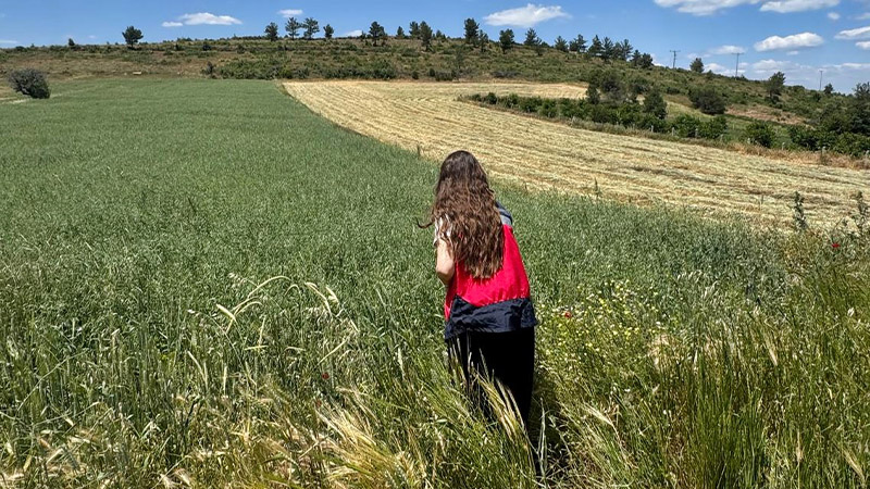 Kütahya Emet’te Yem Bitkisi Destekleme Kontrolleri Sürüyor 01