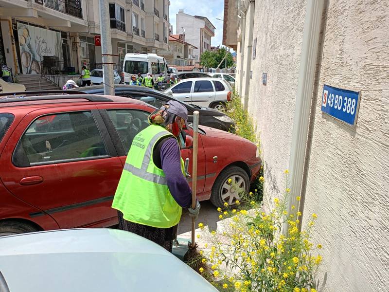 Kütahya Evliya Çelebi Mahallesi’nde Sokak Sokak Temizlik Seferberliği (2)