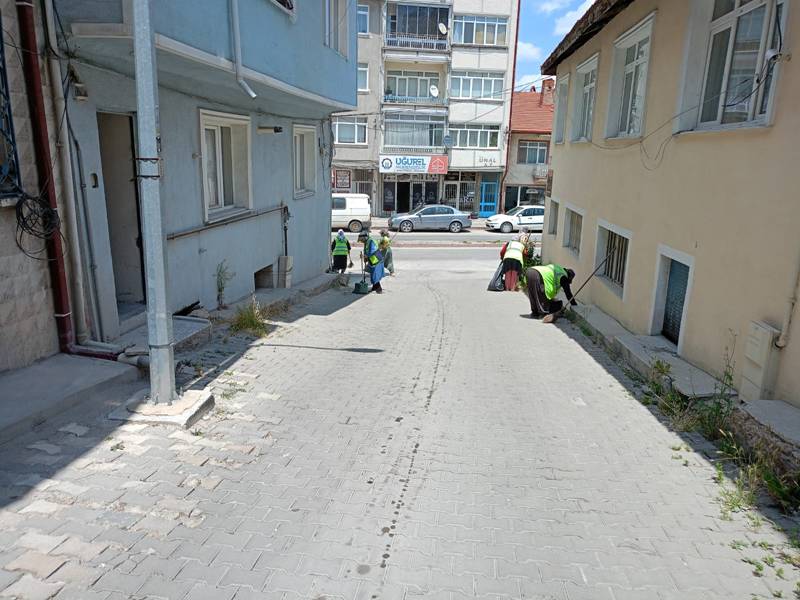 Kütahya Evliya Çelebi Mahallesi’nde Sokak Sokak Temizlik Seferberliği (4)