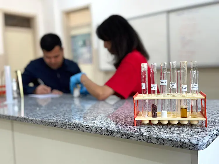 Lise Öğrencileri Plastik Atıklara Alternatif Çevre Dostu Ambalaj Geliştirdi2