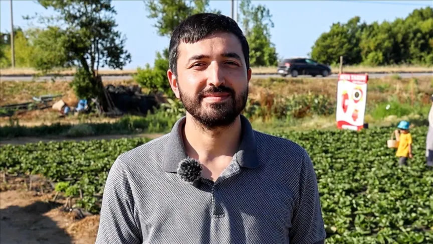 Organik Çilek Üretimiyle Sakarya’da Tarıma Yeni Soluk Getirdi (3)