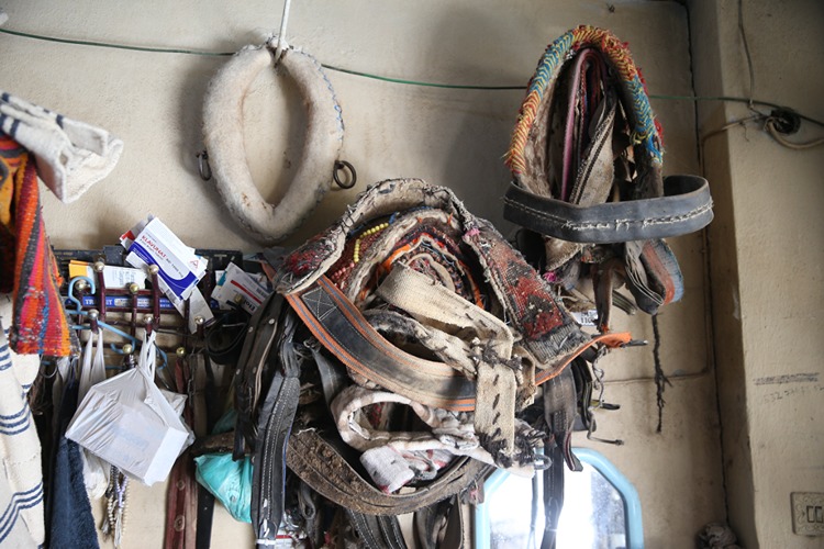 Adıyaman’da Son Semerci Mesleğini Yaşatıyor 1