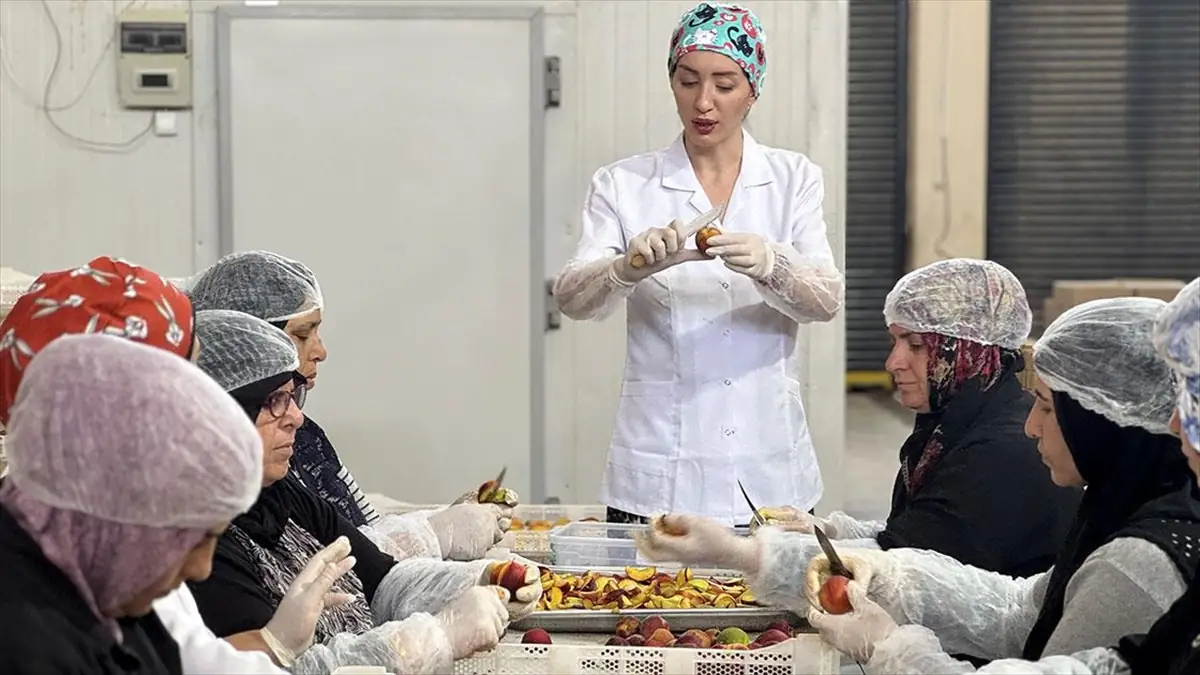 Depremzede Kadın Girişimci Ihracat Başarısıyla Öne Çıktı