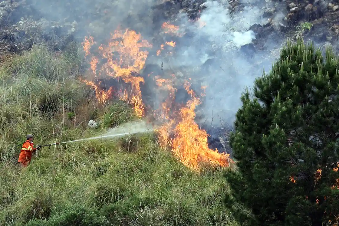 Dünya Genelinde Ormanlar Yangın Tehdidi Altında (1)