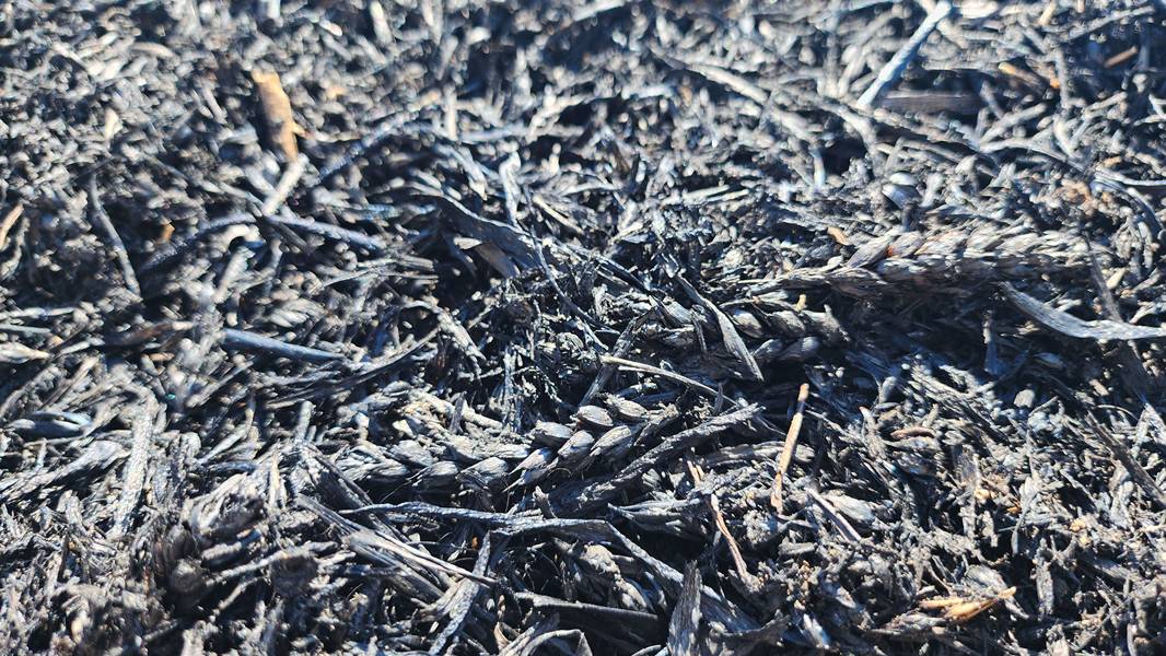 Erenköy Yangın (3)