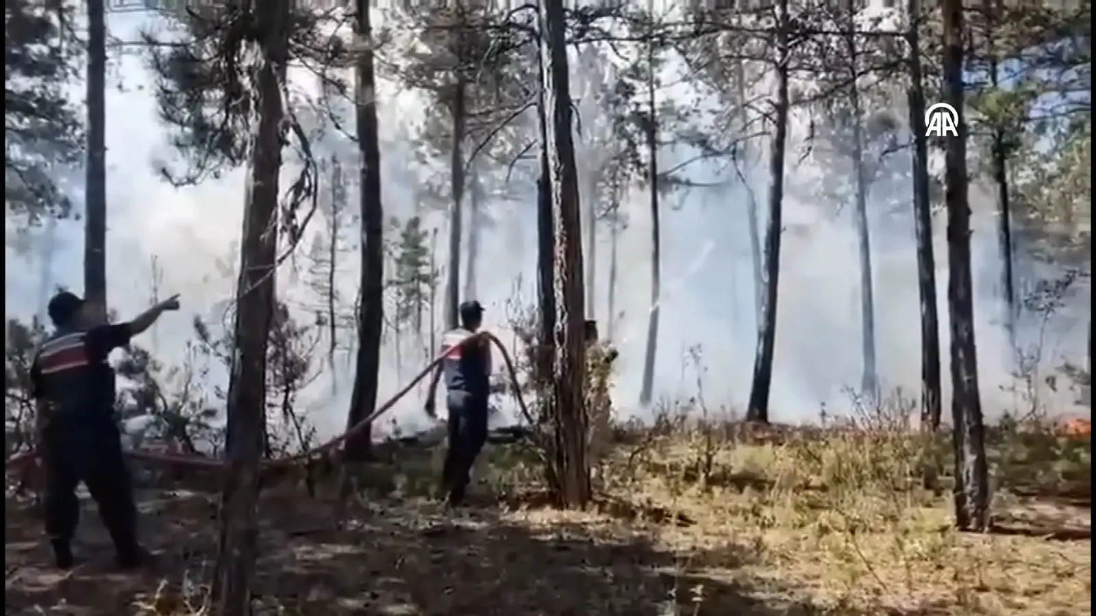 Eskişehir’deki Orman Yangınında 10 Kişi Şehit Oldu