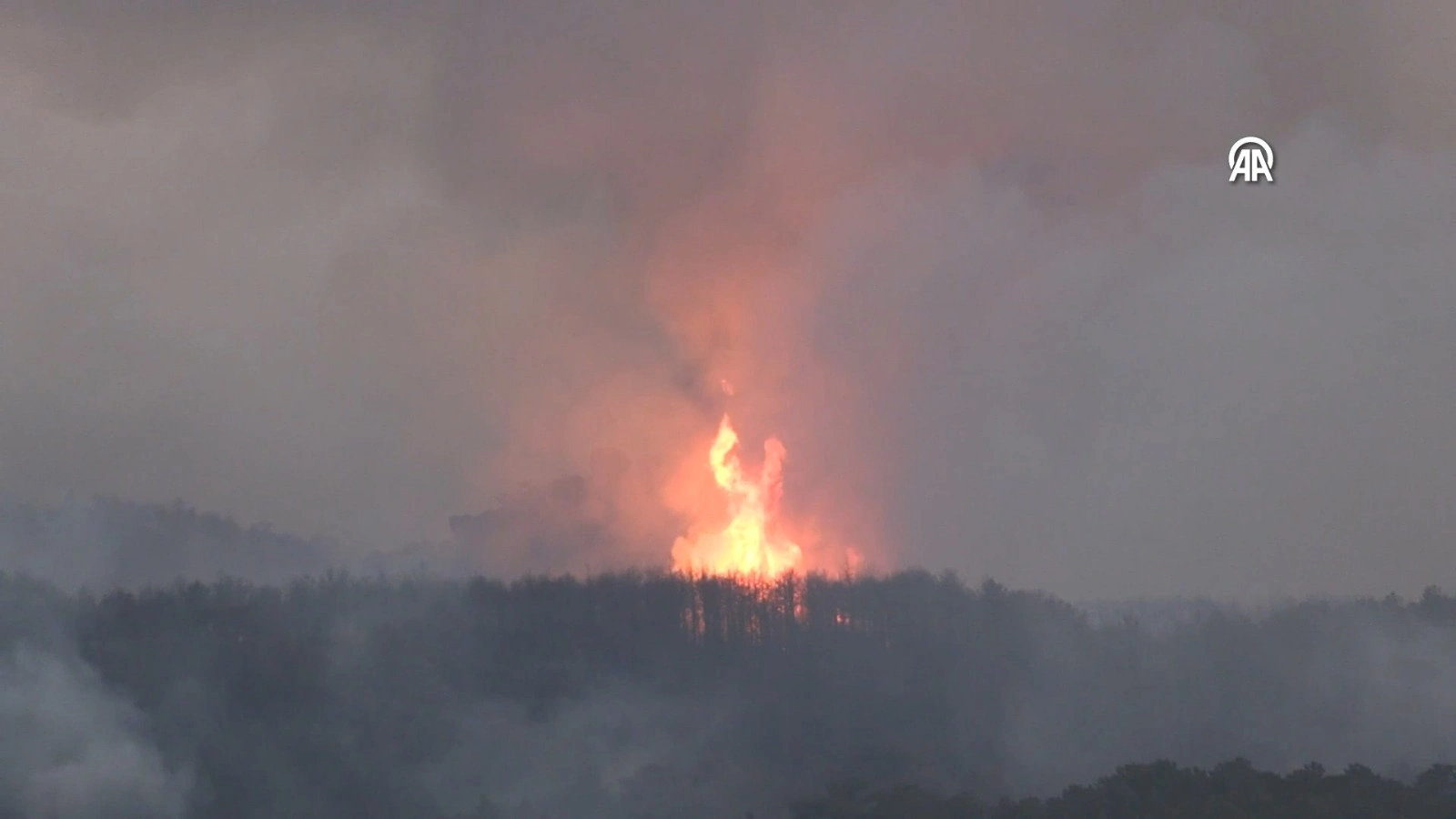 Eskişehir’deki Orman Yangınında 10 Kişi Şehit Oldu4