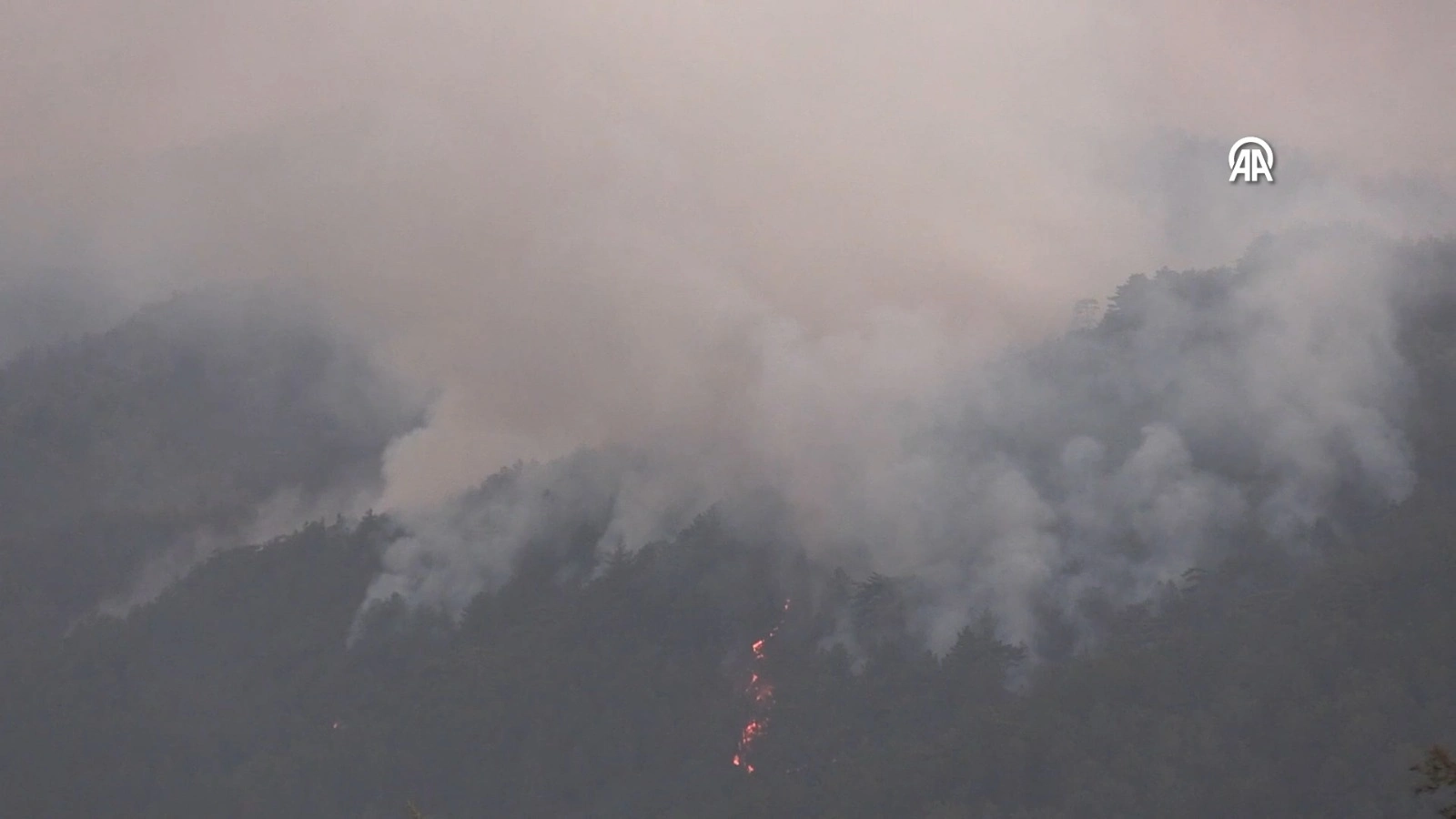Eskişehir’deki Orman Yangınında 10 Kişi Şehit Oldu5