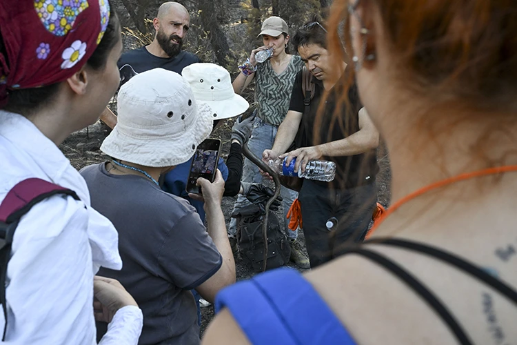 İzmir’de Gönüllüler Orman Yangını Mağduru Hayvanlara Yardım Ediyor (3)