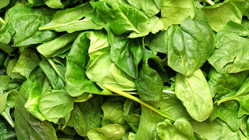 Kavurucu Sıcaklarda Serinleten 5 Süper Besin I