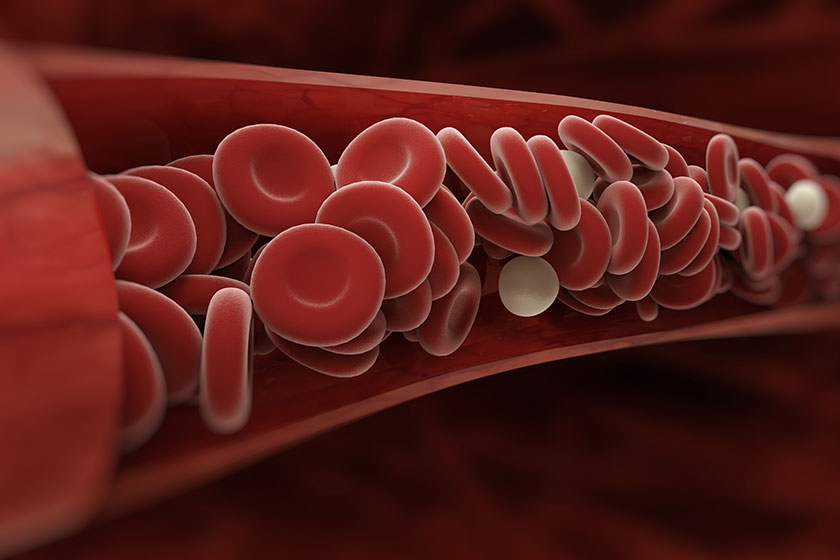Koagülasyon Nedir (2)