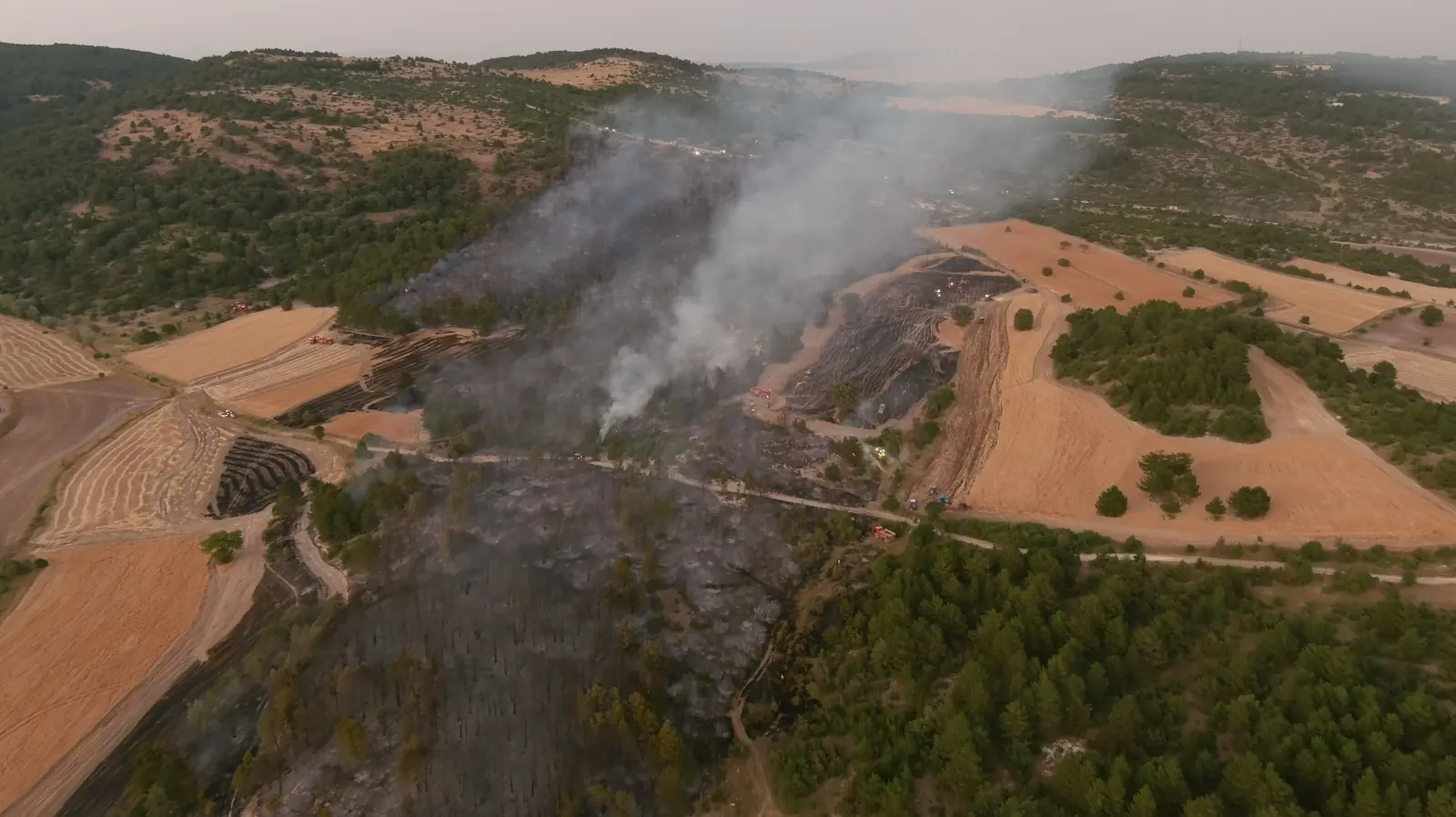 Kütahya Dumlupınar Yangın Son Durum10