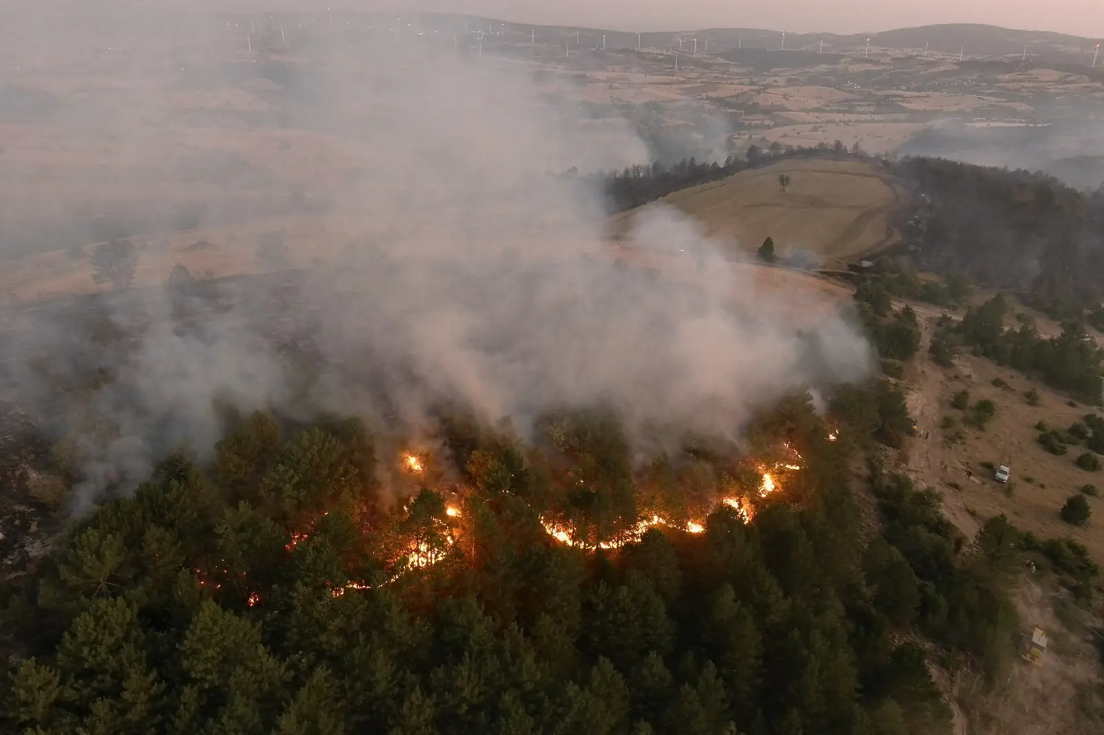 Kütahya Dumlupınar Yangın Son Durum4