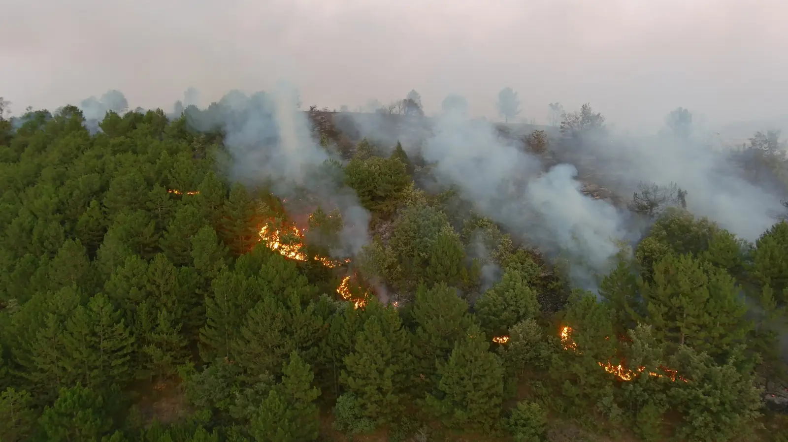 Kütahya Dumlupınar Yangın Son Durum5