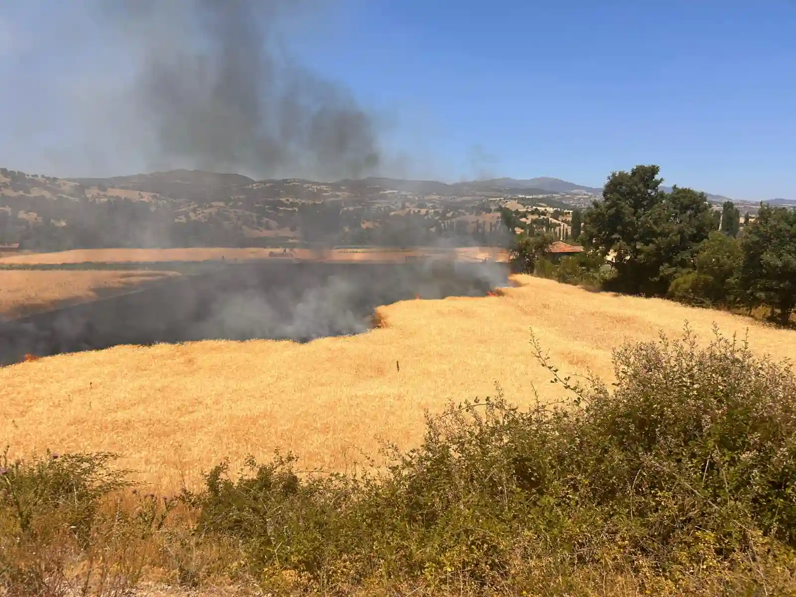 Kütahya'da Biçerdöverin Neden Olduğu Yangın Söndürüldü (2)