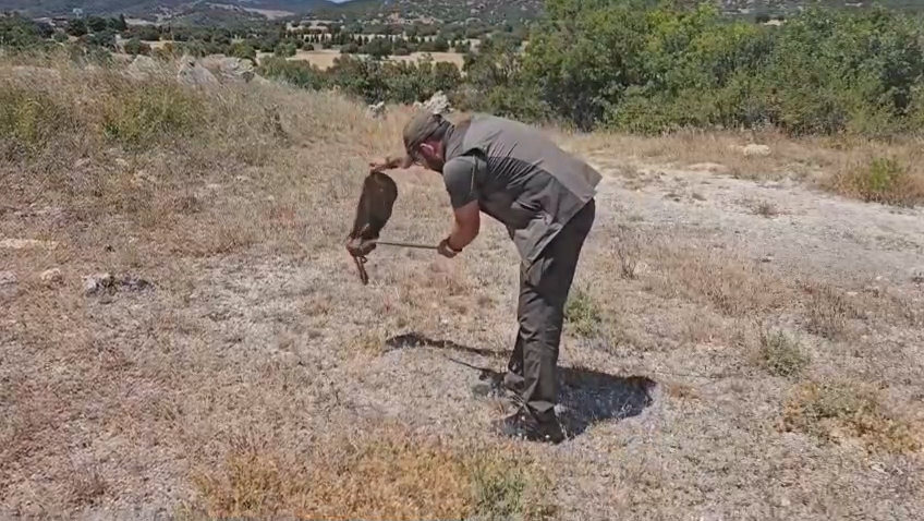 Kütahya’da Bir Restoranda Yılan Paniği (4)
