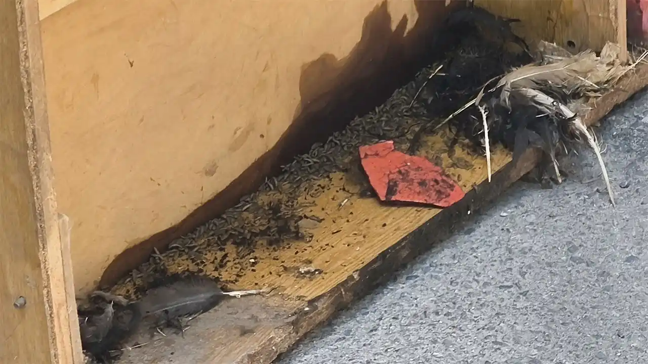 Kütahya'da Ceset Kokusu Geliyor Ihbarı Polisi Alarma Geçirdi4