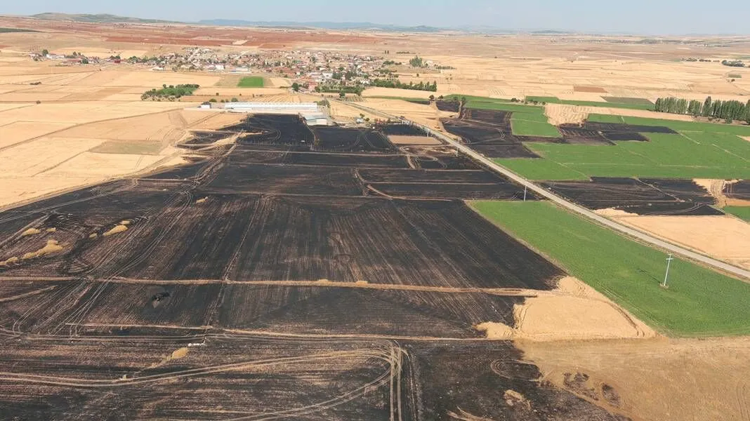 Kutahyada Cikan Tarla Yangininda Hububat Ekili Alan Zarar Gordu 3. J P G