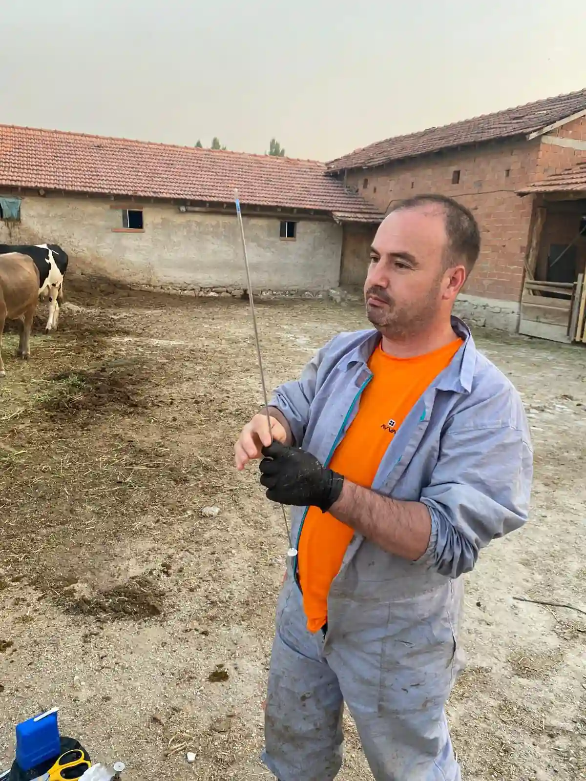 Kütahya’da Manda Islahı Projesi Başladı 2