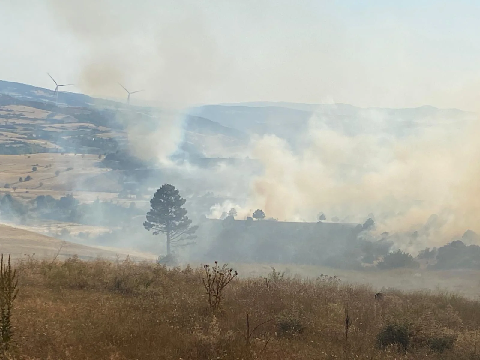 Kütahya'da Ormanlık Alandaki Yangına, Müdahale Ediliyor2