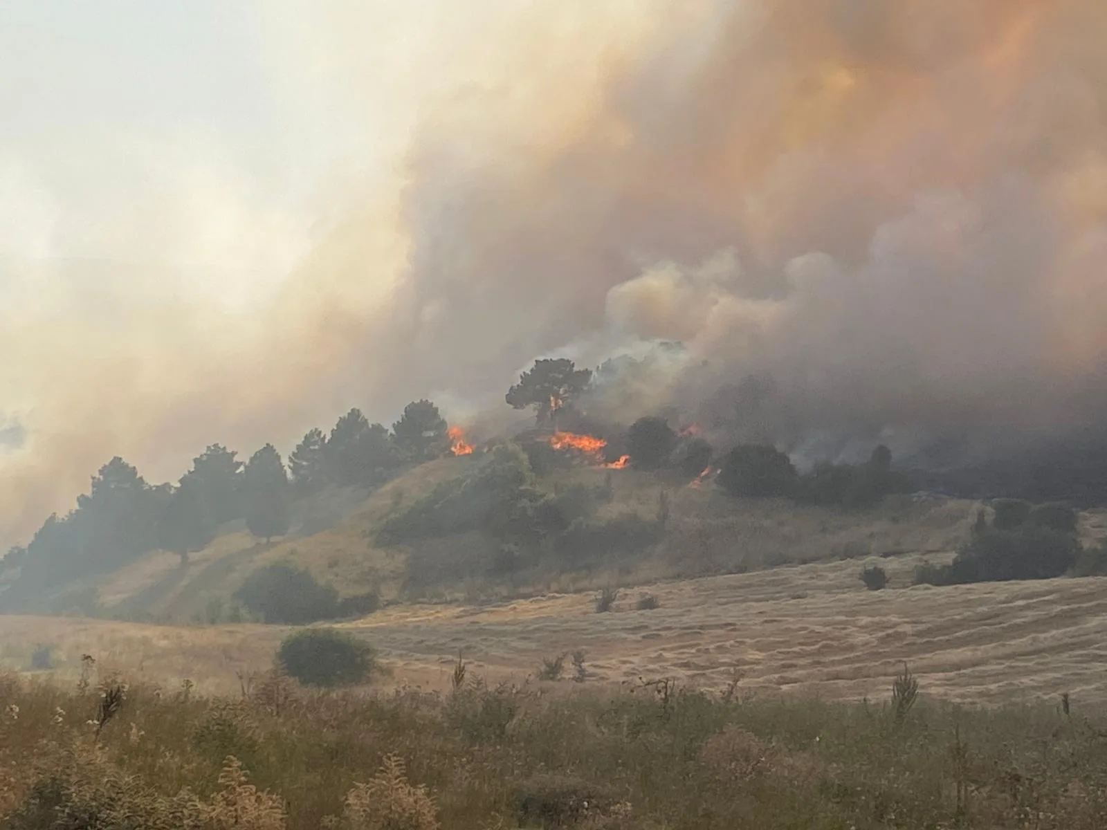 Kütahya'da Ormanlık Alandaki Yangına, Müdahale Ediliyor3