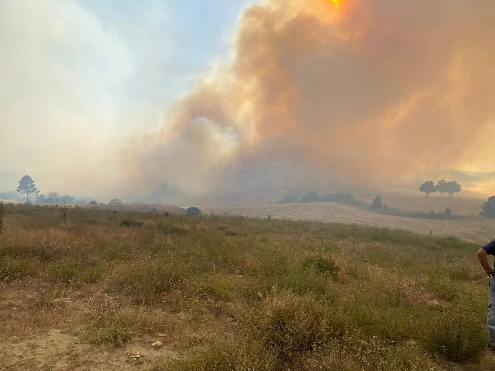 Kütahya'da Ormanlık Alandaki Yangına, Müdahale Ediliyor4
