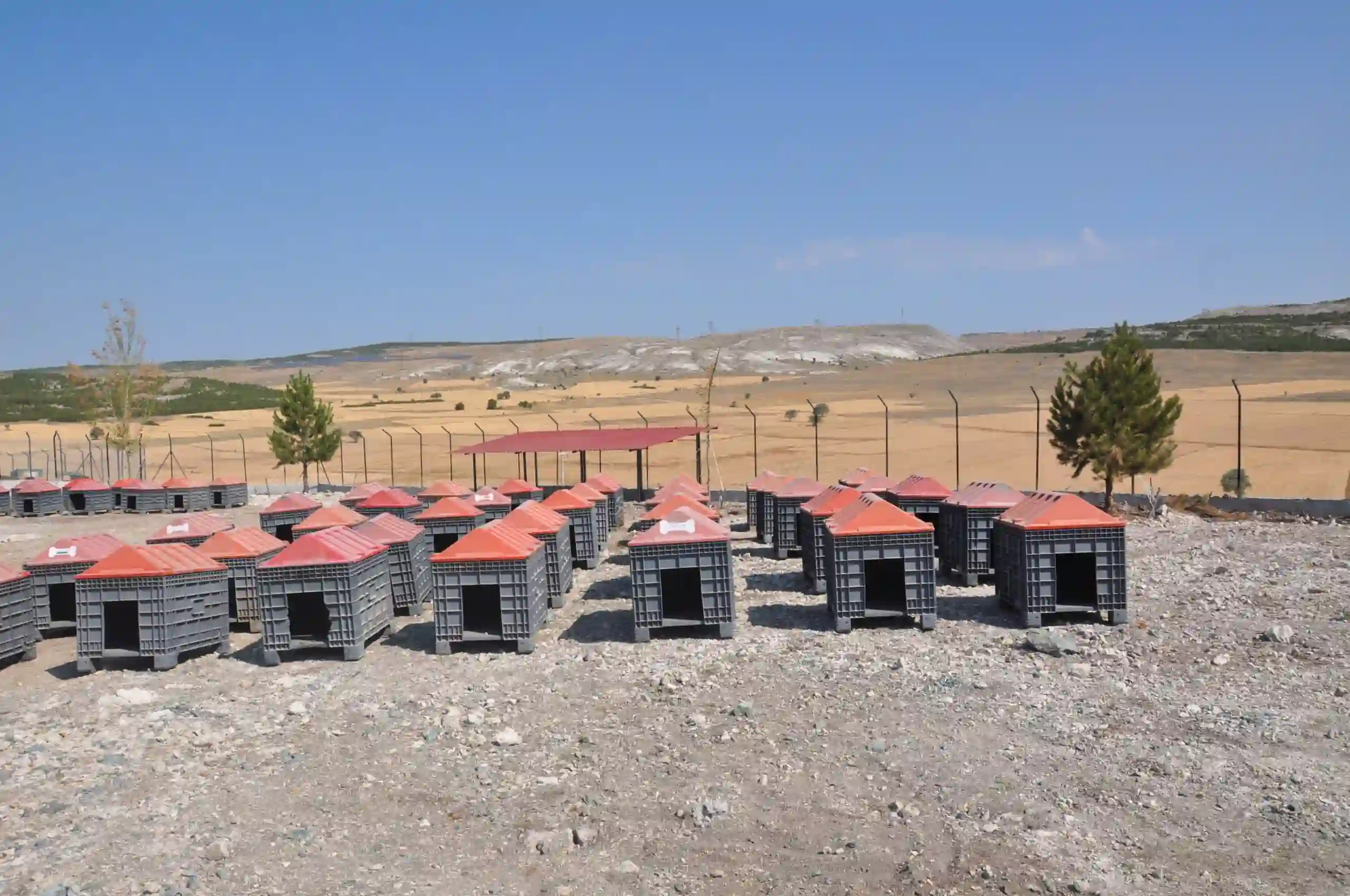 Kütahya’da Sahipsiz Hayvanlar Için Doğal Yaşam Alanı Tamamlandı