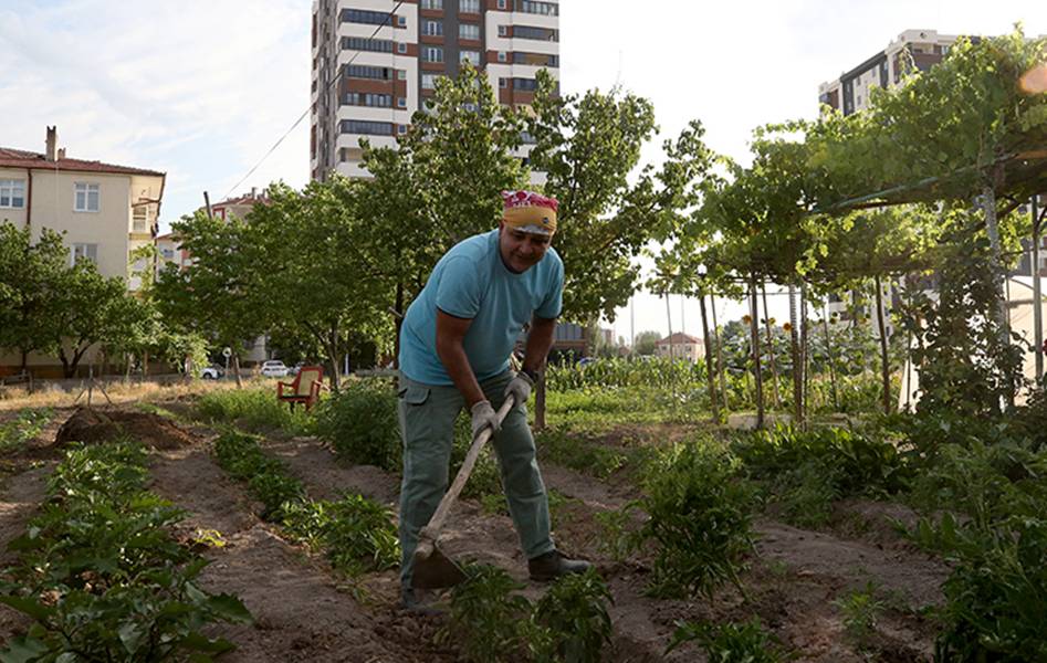 Şehrin Ortasında Köy Hayatı Kurdu 11 (1)