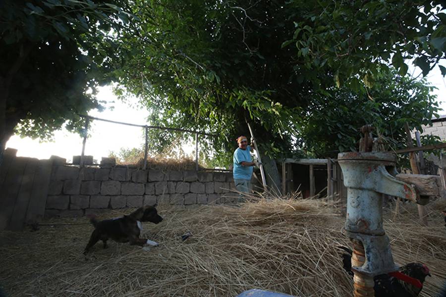 Şehrin Ortasında Köy Hayatı Kurdu 11 (2)