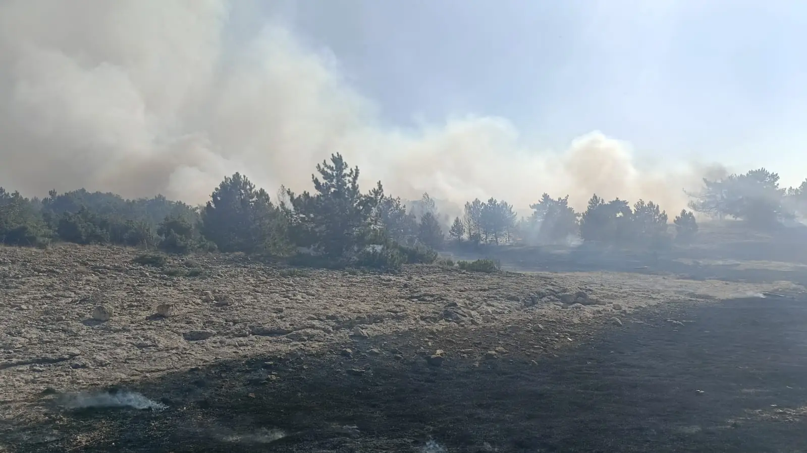 Sofça Baraj Yangın