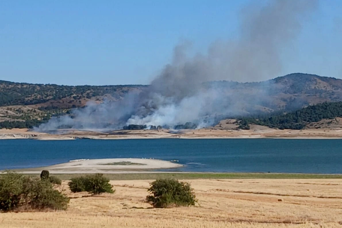 Sofça Baraj Yangın1