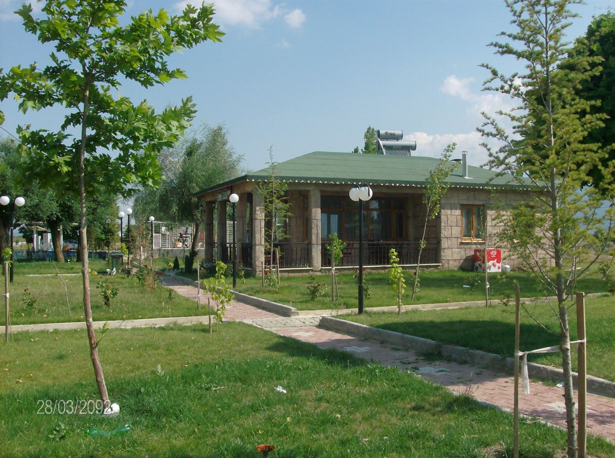 06 Naşa (1)