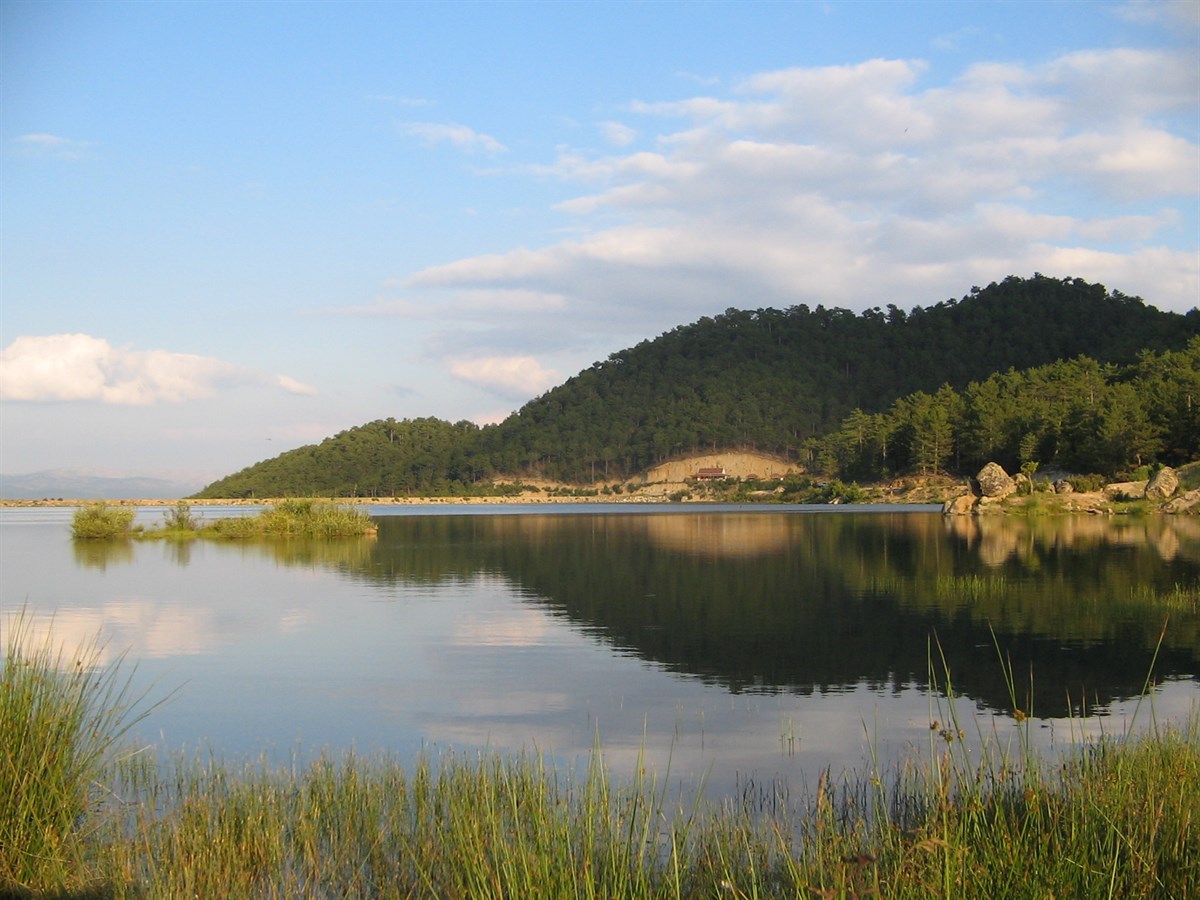 12 Emet Yeni̇ce (4)