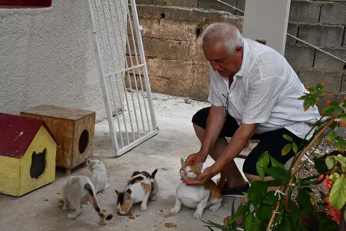 8 Kediye Evinin Bahçesine Koyduğu Kulübelerde Bakıyor (1)