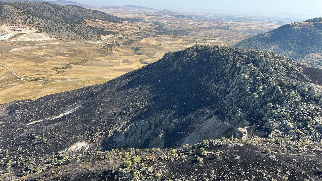 Afyonkarahisar’da 150 Kektarlık Alan Yangında Zarar Gördü3