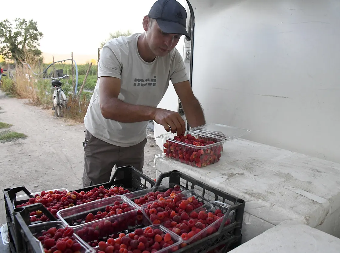 Atıl Araziden Meyve Bahçesi Kurarak Üretici Oldu (2)