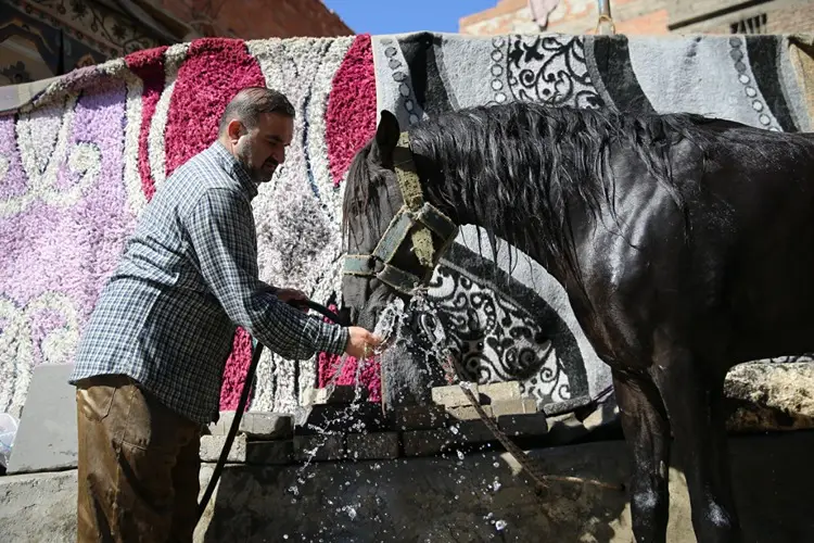Buzcu Baba At Sırtında Tarladaki Işçileri Serinletiyor (1)