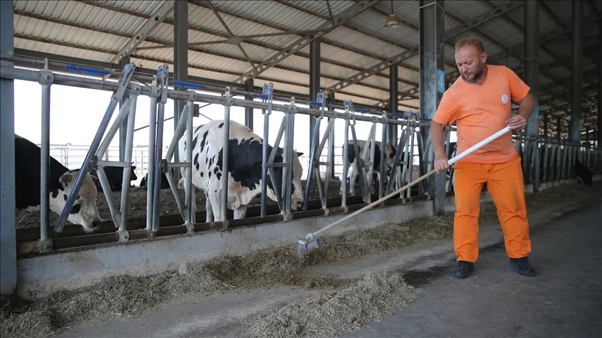 Cezaevinde Meslek Öğrenen Hükümlüler Istihdam Ediliyor (1)