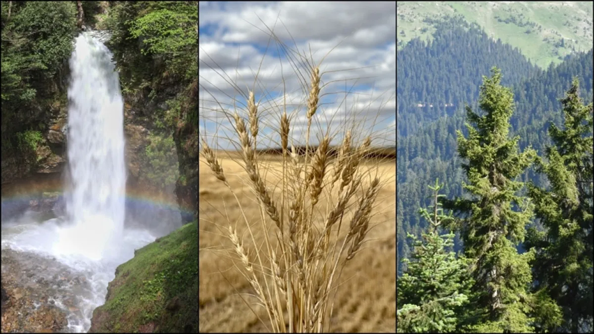 Dünya Limit Aşım Günü Erkene Çekildi Kaynaklar Tükeniyor1