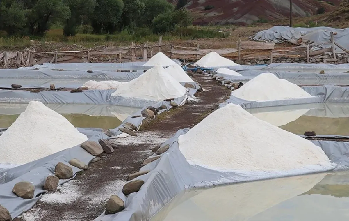 Japonlar Peşine Düştü Mineral Zenginliğiyle Öne Çıkıyor1