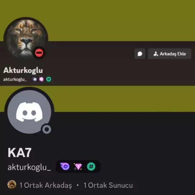 Kerem Aktürkoğlu, Aslan Temalı Profilini Sildi1