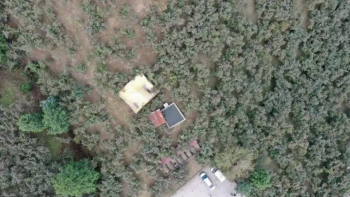 Kurdukları Damla Sulama Sistemi Fındık Verimini Iki Kat Artırdı (2)