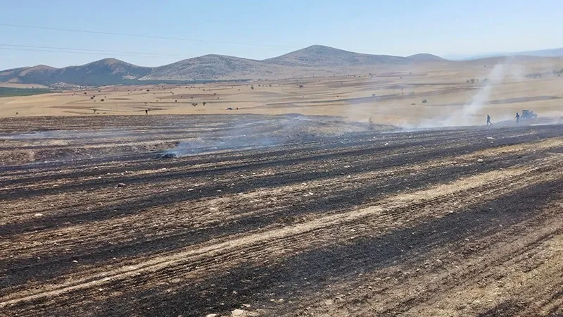 Kütahya Altıntaş’ta Anız Yangını 1