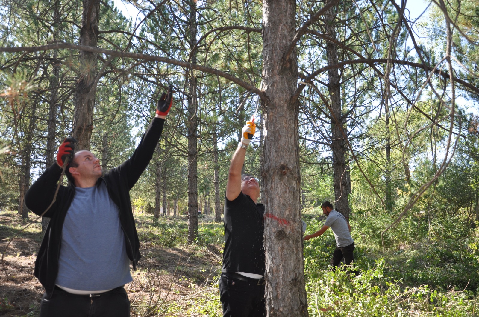 Kütahya Dpü’de Atıl Alan Yaşam Alanına Dönüşüyor (6)