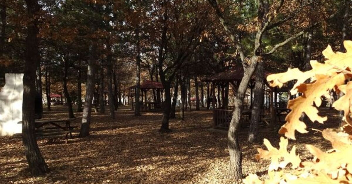 Kütahya’da Piknik Ateşi Yasağına Saat Şartı Getirildi 1