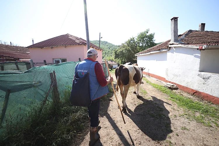 Memleketine Dönen Besici Sürü Sahibi Oldu (1)