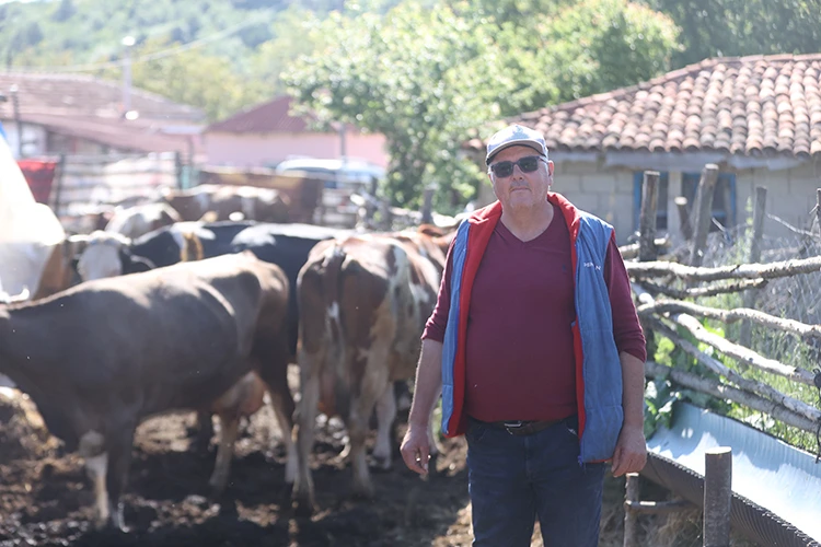 Memleketine Dönen Besici Sürü Sahibi Oldu (3)